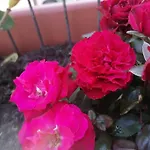 Tra E Montagne Nonna Maria Apartman
