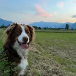 Tra E Montagne Nonna Maria * Dubino