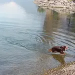 Tra E Montagne Nonna Maria * Dubino