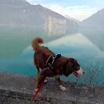 Tra E Montagne Nonna Maria Apartman *